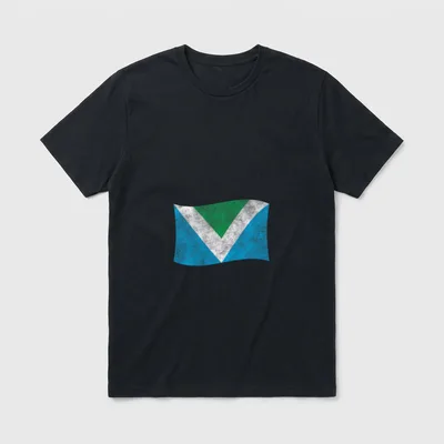 Vegan Flag Vintage Go T-Shirt – Classic T-Shirt in Black