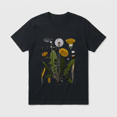Dandelion Botanical Dandelion Root T-Shirt – Classic T-Shirt in Black
